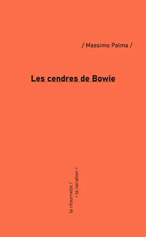 Les cendres de Bowie : inédit