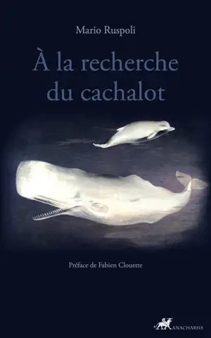 A la recherche du cachalot