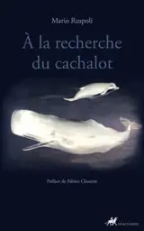 A la recherche du cachalot