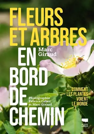 Fleurs et arbres en bord de chemin : les plantes nous voient, sachons les regarder