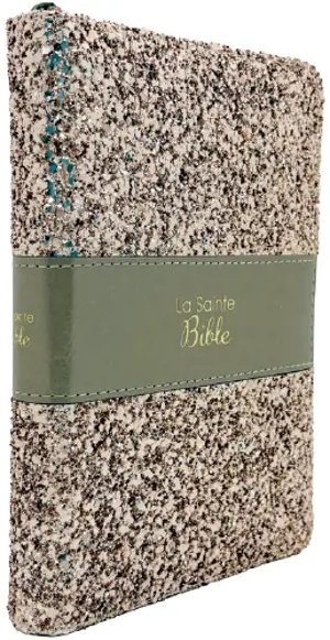 La sainte Bible : bronze