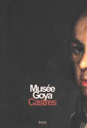 Musée Goya, Castres