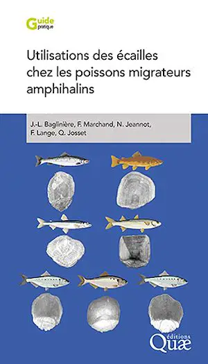 Utilisation des écailles chez les poissons migrateurs amphihalins