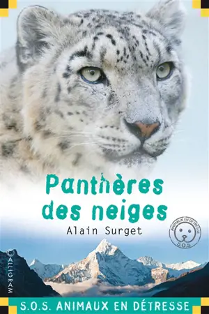 Panthère des neiges