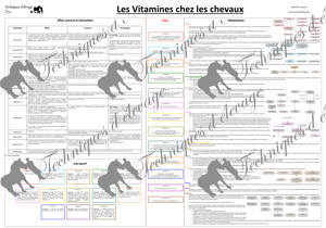 Les vitamines chez les chevaux