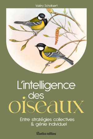 L'intelligence des oiseaux