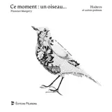 Ce moment : un oiseau...
