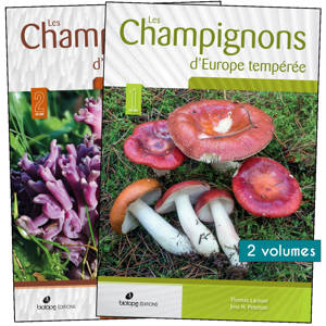 Champignons d'Europe temperee - 2 volumes (2e édition)
