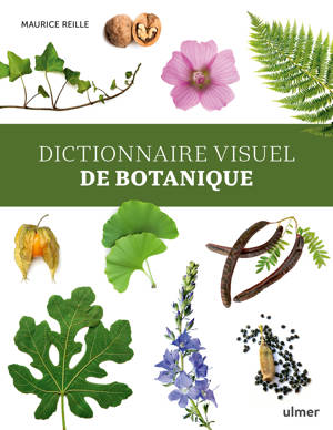 Dictionnaire visuel de botanique