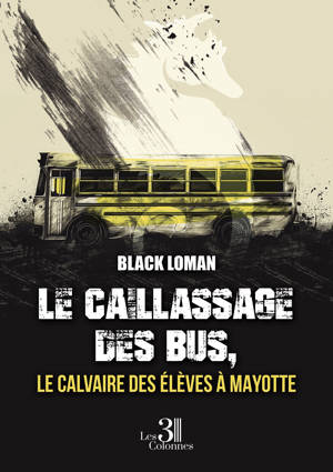 Le caillassage des bus, le calvaire des élèves à Mayotte
