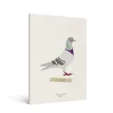 Carnet Oiseau A5 - Zoé de Las Cases