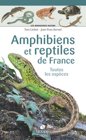 Les miniguides nature - Amphibiens et reptiles de France