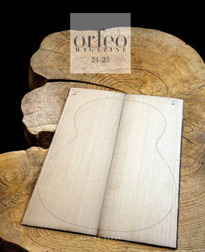 Orfeo 21-25