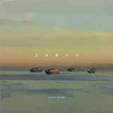 Richard Misrach Cargo /anglais