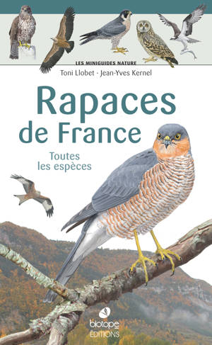 Les miniguides nature - Rapaces de France