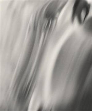 Henry O. Head Twelve Acres /anglais