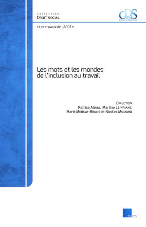 Les mots et les mondes  de l’inclusion au travail