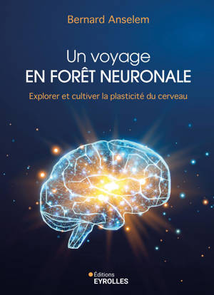 Un voyage en forêt neuronale