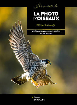 Les secrets de la photo d'oiseaux