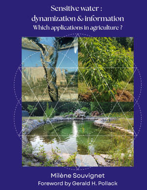 Sensitive water : Dynamization & Information