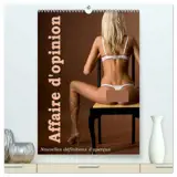 Affaire d'opinion - Nouvelles définitions d'aperçus  (Calendrier mural 2026 DIN A2 horizontal) calendrier de bureau