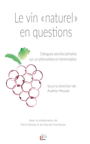 Vin « naturel » en questions