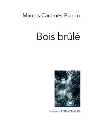 Bois brûlé