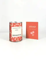 Coffret Les mots des fleurs  Amour