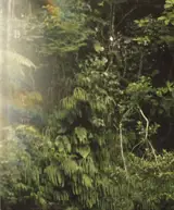 Are We There