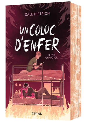 Un coloc d'enfer