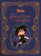 Brume - Mon grand livre de magie