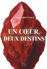 UN CœUR DEUX DESTINS