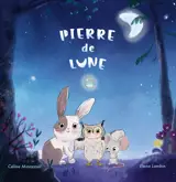 Pierre de Lune