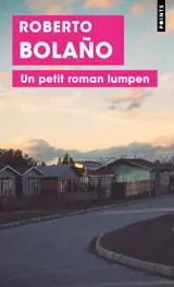 Un petit roman lumpen