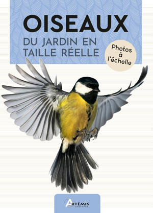 Oiseaux du jardin en taille réelle