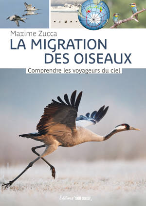 La migration des oiseaux