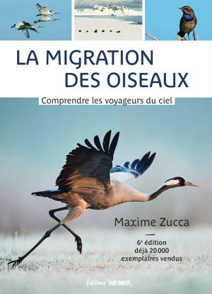 La migration des oiseaux