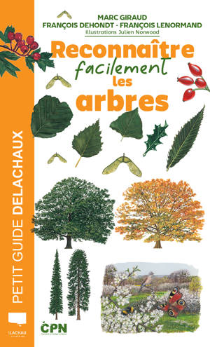 Reconnaître facilement les arbres