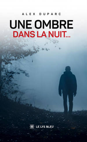 Une ombre dans la nuit...