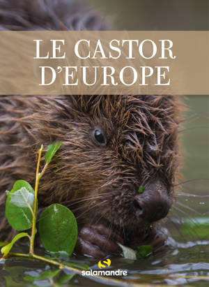 Le castor d'Europe