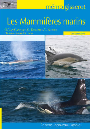 Mémo - Les mammifères marins