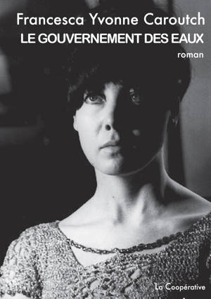 LE GOUVERNEMENT DES EAUX