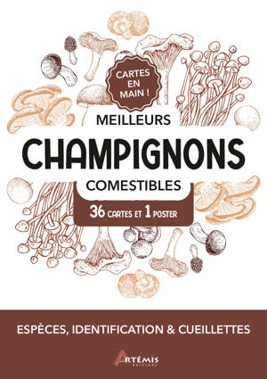 Meilleurs champignons comestibles