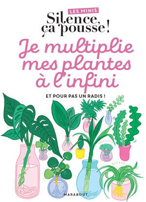 Les minis Silence ça pousse ! Je multiplie mes plantes à l'infini