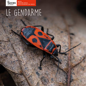 LE GENDARME