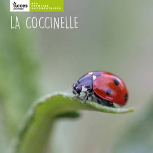 LA COCCINELLE