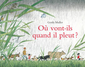 Où vont-ils quand il pleut ?