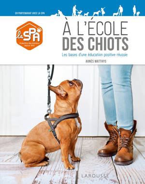 À l'école des chiots
