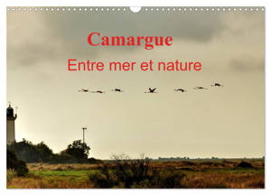 Camargue Entre mer et nature (Calendrier mural 2026 DIN A3 vertical), CALVENDO calendrier mensuel