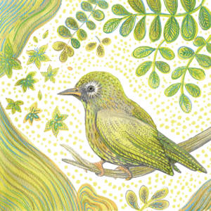 Lot de 10 cartes simple "oiseau jaune" avec enveloppe sous cellophane